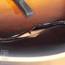 WADE FW-5 with VIRZI tone producer_13