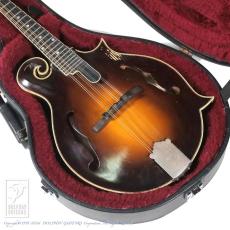 WADE FW-5 with VIRZI tone producer_14