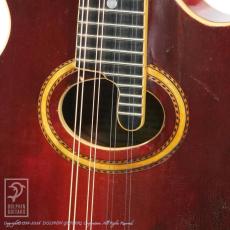 Gibson F-4_12