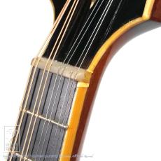 Gibson F-4_14
