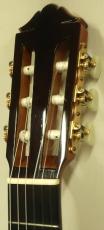 YAMAHA GC-41_2