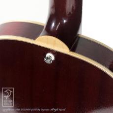Kyodai Higuchi Wagtail 15"_10