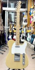 Fender Japan TL-STD_3