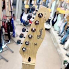 Fender Japan TL-STD_5