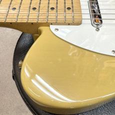 Fender Japan TL-STD_8
