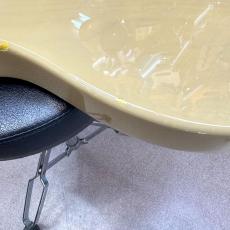 Fender Japan TL-STD_9