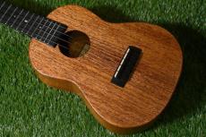 Millar CPA-E Concert【S/N 099】