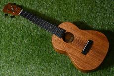 Millar CPA-E Concert【S/N 099】_2