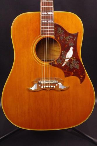 Gibson DOVE