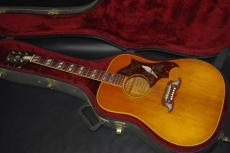 Gibson DOVE_2