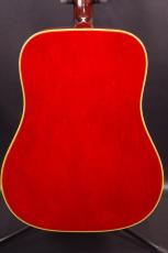 Gibson DOVE_3