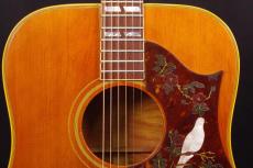 Gibson DOVE_8