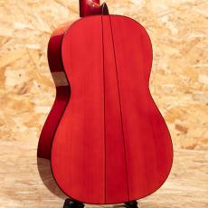 ESTEVE GIPSY KINGS by André Reyes_2