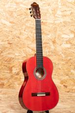 ESTEVE GIPSY KINGS by André Reyes_3