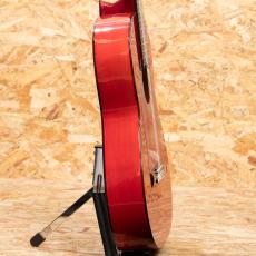 ESTEVE GIPSY KINGS by André Reyes_4