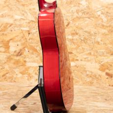 ESTEVE GIPSY KINGS by André Reyes_5