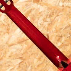 ESTEVE GIPSY KINGS by André Reyes_7