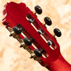 ESTEVE GIPSY KINGS by André Reyes_9