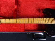 SCHECTER TL Type Sparkle color_4