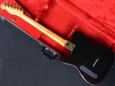 SCHECTER TL Type Sparkle color_6