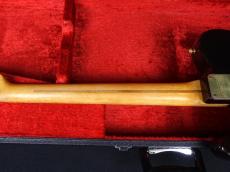 SCHECTER TL Type Sparkle color_8