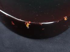 SCHECTER TL Type Sparkle color_10