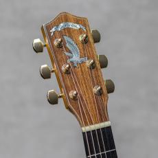 Greven The Oshio D Lutz Spruce / Jacaranda / 2012_9