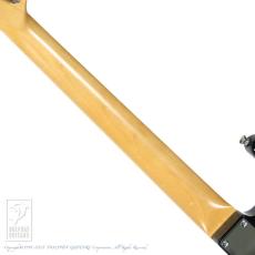 dragonfly M-Sta HB Custom_6