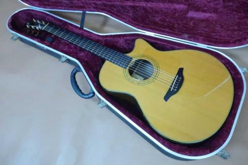Furch Guitars G22-CRCT / Solid Cedar Top・Solid Indian Rosewood Side and Back・Original Gold Peg・Ebony Fingerboard and Bridge・Mahogany Neck・Abalone Rosette・Tortis Collar Binding・Clear Pick guard 【With Original Hard C