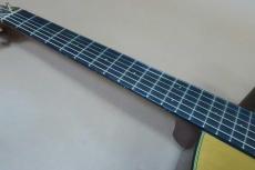 Furch Guitars G22-CRCT / Solid Cedar Top・Solid Indian Rosewood Side and Back・Original Gold Peg・Ebony Fingerboard and Bridge・Mahogany Neck・Abalone Rosette・Tortis Collar Binding・Clear Pick guard 【With Original Hard C_9