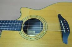 Furch Guitars G22-CRCT / Solid Cedar Top・Solid Indian Rosewood Side and Back・Original Gold Peg・Ebony Fingerboard and Bridge・Mahogany Neck・Abalone Rosette・Tortis Collar Binding・Clear Pick guard 【With Original Hard C_12