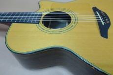 Furch Guitars G22-CRCT / Solid Cedar Top・Solid Indian Rosewood Side and Back・Original Gold Peg・Ebony Fingerboard and Bridge・Mahogany Neck・Abalone Rosette・Tortis Collar Binding・Clear Pick guard 【With Original Hard C_13