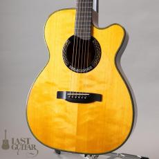 M.Shiozaki HLR-1 NT_2