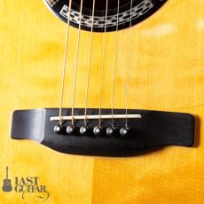 M.Shiozaki HLR-1 NT_3