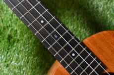ｍillar BPA-E Baritone【S/N 100】_11