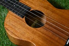 ｍillar BPA-E Baritone【S/N 100】_12