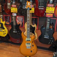 Paul Reed Smith [PRS] SE Standard 24_2