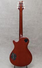 Paul Reed Smith [PRS] McCarty 594 Singlecut Joe Walsh Limited Edition / 2021_4