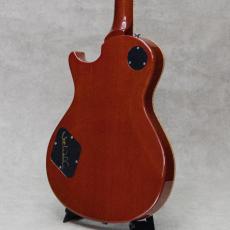 Paul Reed Smith [PRS] McCarty 594 Singlecut Joe Walsh Limited Edition / 2021_6