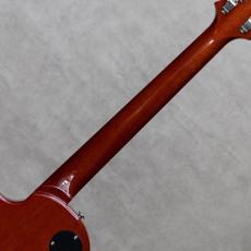Paul Reed Smith [PRS] McCarty 594 Singlecut Joe Walsh Limited Edition / 2021_8