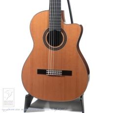 エレガット、シダー（杉）の検索結果1～50件【楽器検索｜Jギター】