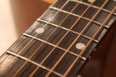 Gibson 1955 J-50_4