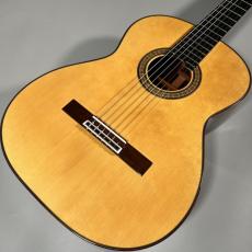 桜井 河野 Professional-SR/635