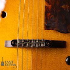 Rozeo Ladybug LA-CTM SCM HB/VS_3