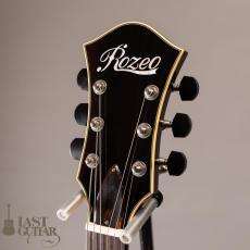 Rozeo Ladybug LA-CTM SCM HB/VS_5