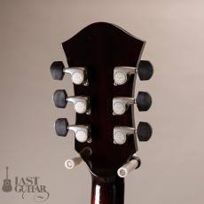 Rozeo Ladybug LA-CTM SCM HB/VS_6