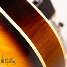 Rozeo Ladybug LA-CTM SCM HB/VS_10