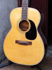 Jullian '70s F-200_3