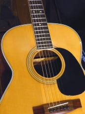 Jullian '70s F-200_7