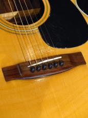 Jullian '70s F-200_8